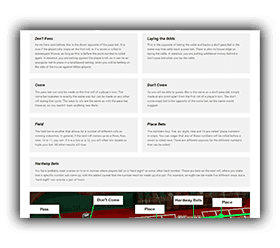 Sheet detailing the different bets in craps.