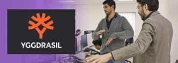 Yggdrasil Office