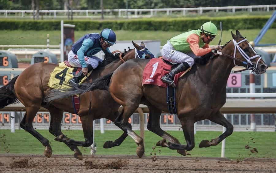 Two jockeys race horses on racing track.