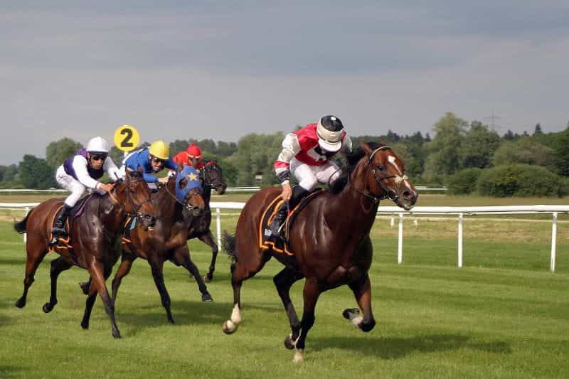 Four jockeys racing their brown horses around a racetrack.