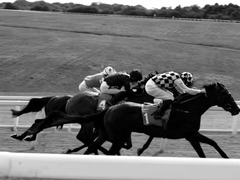 Horses being ridden through a race track.